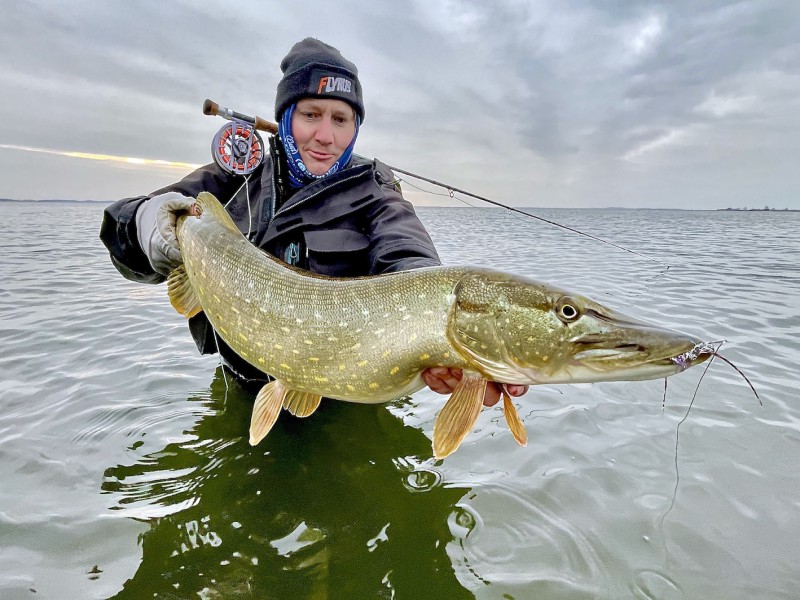 Pike Fly Fishing in the Bodden