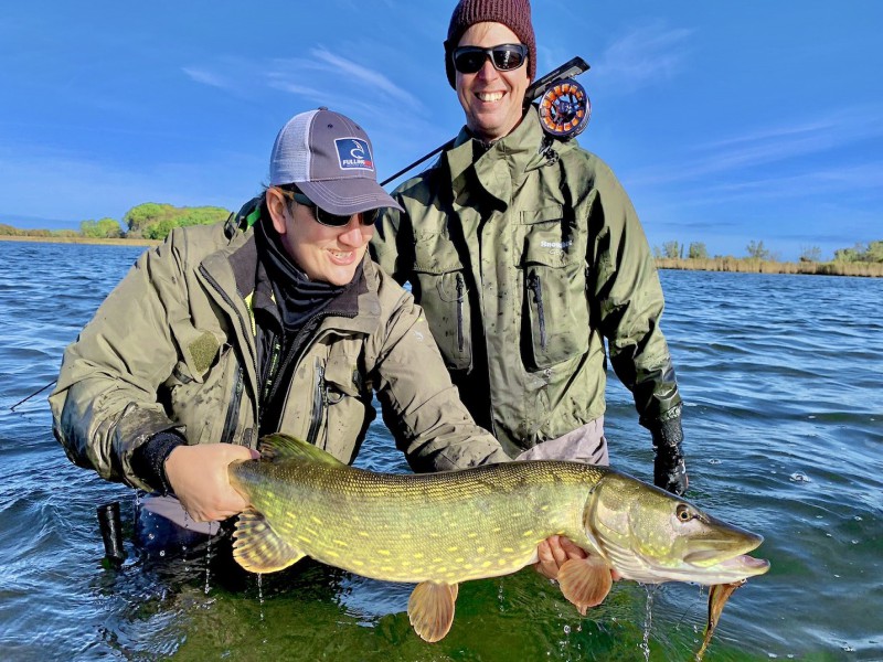 Pike Fly Fishing in the Bodden