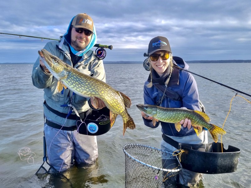 Pike Fly Fishing in the Bodden
