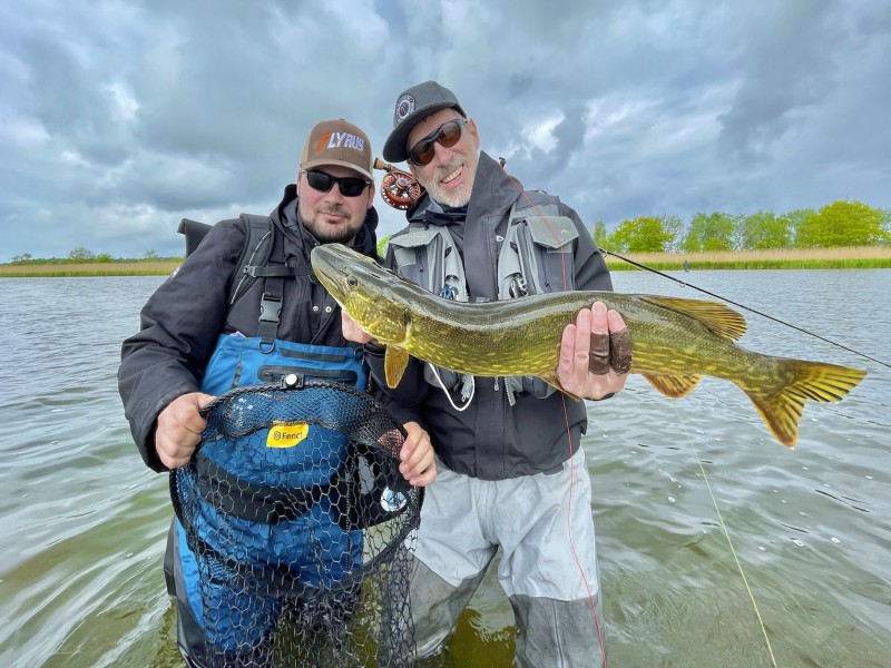 Pike Fly Fishing in the Bodden