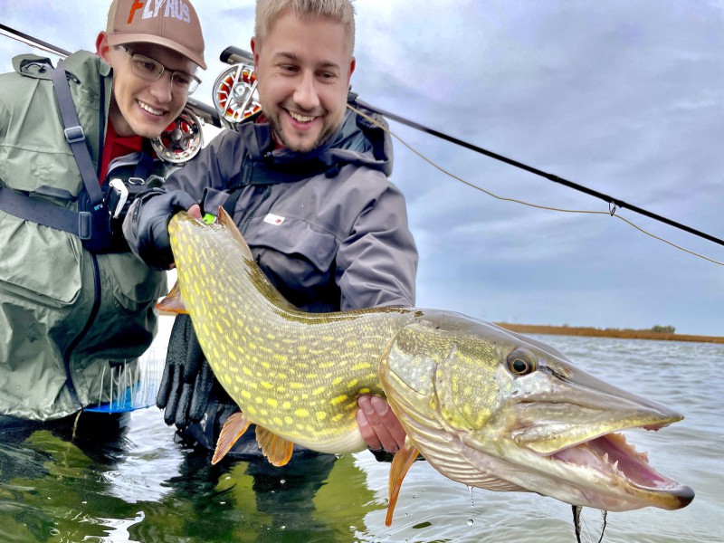 Pike Fly Fishing in the Bodden