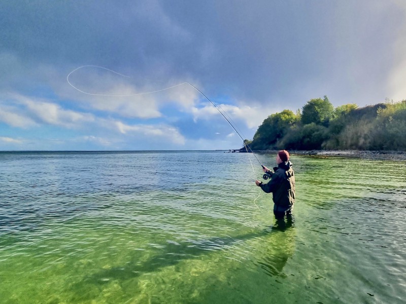 Sea Trout Fly Fishing on the German & Danish Baltic Coast