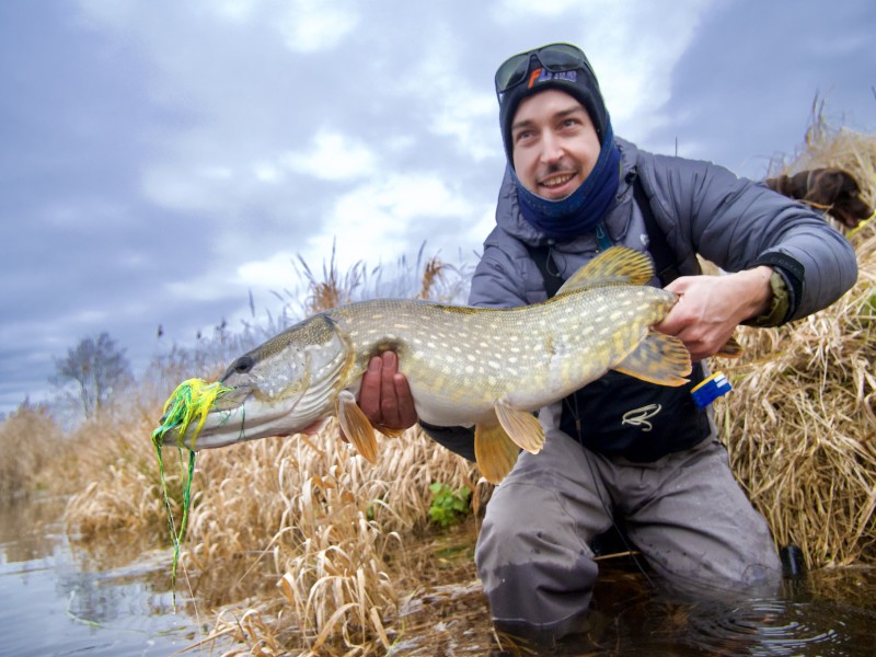 Guided Fly Fishing for Pike, Trout & Grayling