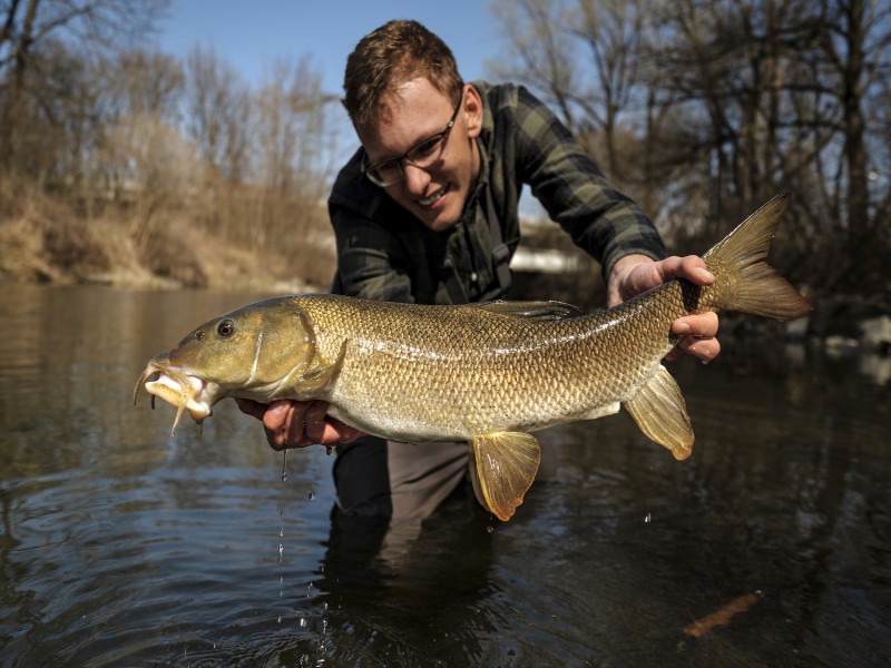 Fly Fishing for Trout, Pike, Barbel & Grayling