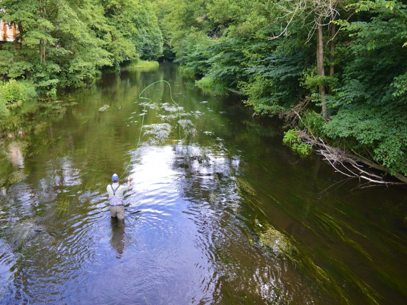 Fly Fishing for Trout, Pike, Barbel & Grayling