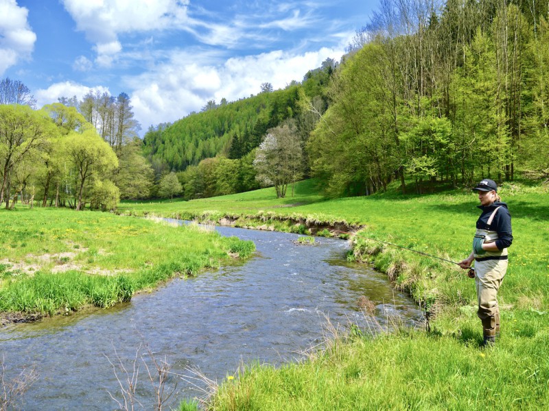 Fly Fishing for Trout, Pike, Barbel & Grayling