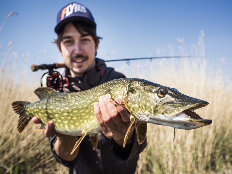 Fly Fishing for Trout, Pike, Barbel & Grayling
