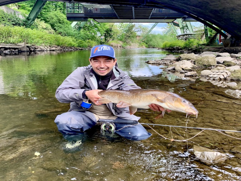 Fly Fishing in Sauerland, Eifel & Greater NRW