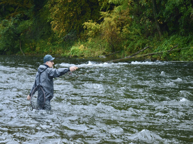 Guided Fly Fishing Tour for Trout, Barbel and Grayling