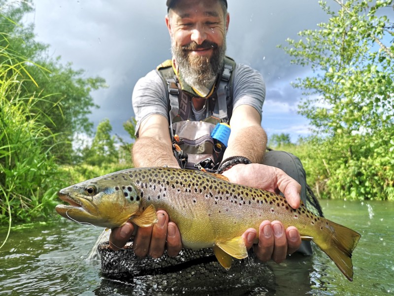 Fly Fishing for Brown Trout in the Greater Rhineland-Palatinate Area