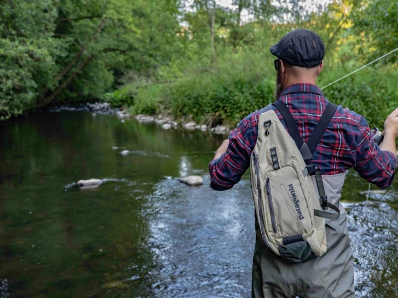Fly Fishing for Brown Trout in the Greater Rhineland-Palatinate Area