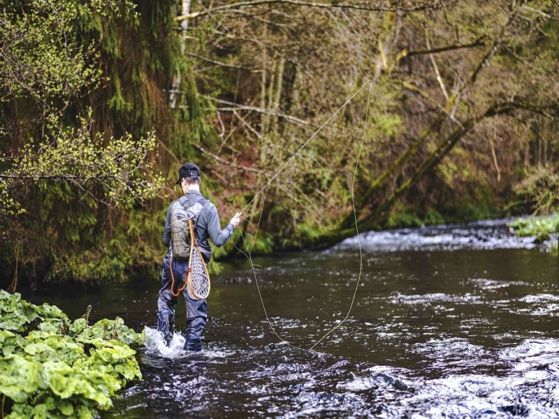 Fly Fishing for Brown Trout in the Greater Rhineland-Palatinate Area