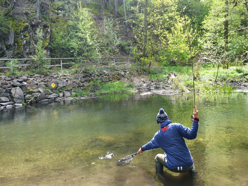 Fly Fishing Tours in Thuringia