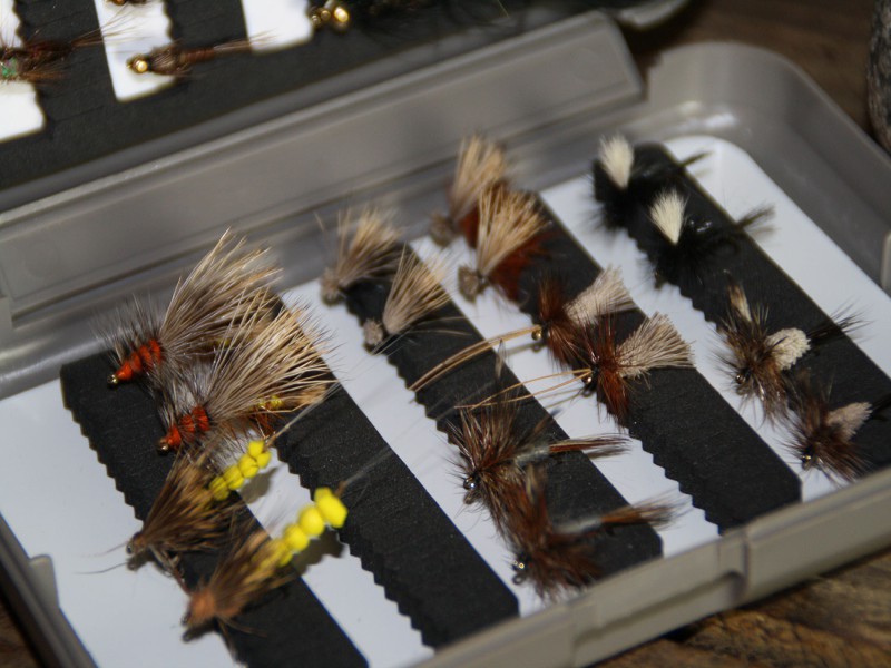 Learn Fly Fishing in Baden-Württemberg: Private Course/Individual Instruction - 4