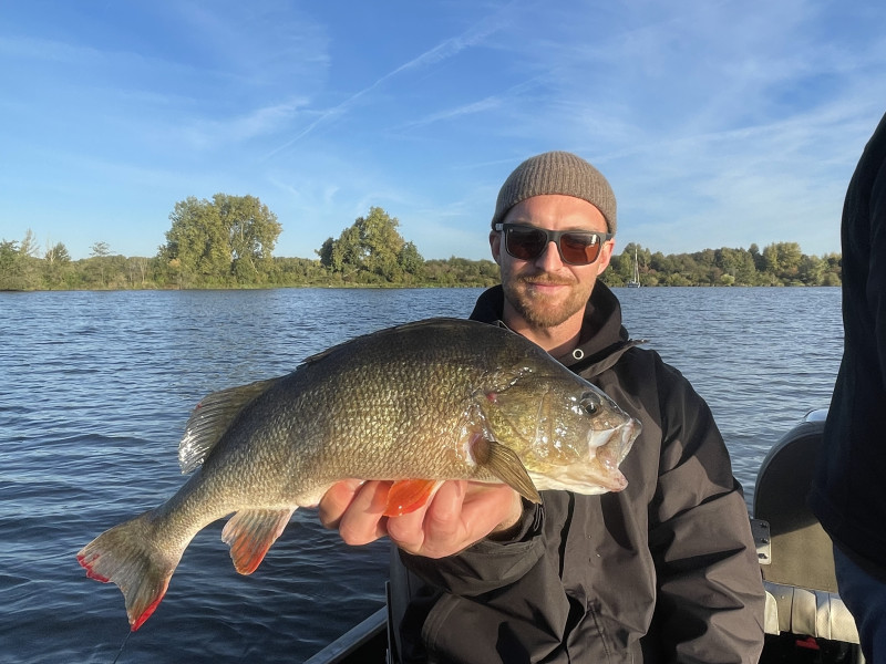Big bass and other predators on the Nederrijn, Maas and adjacent Plassen