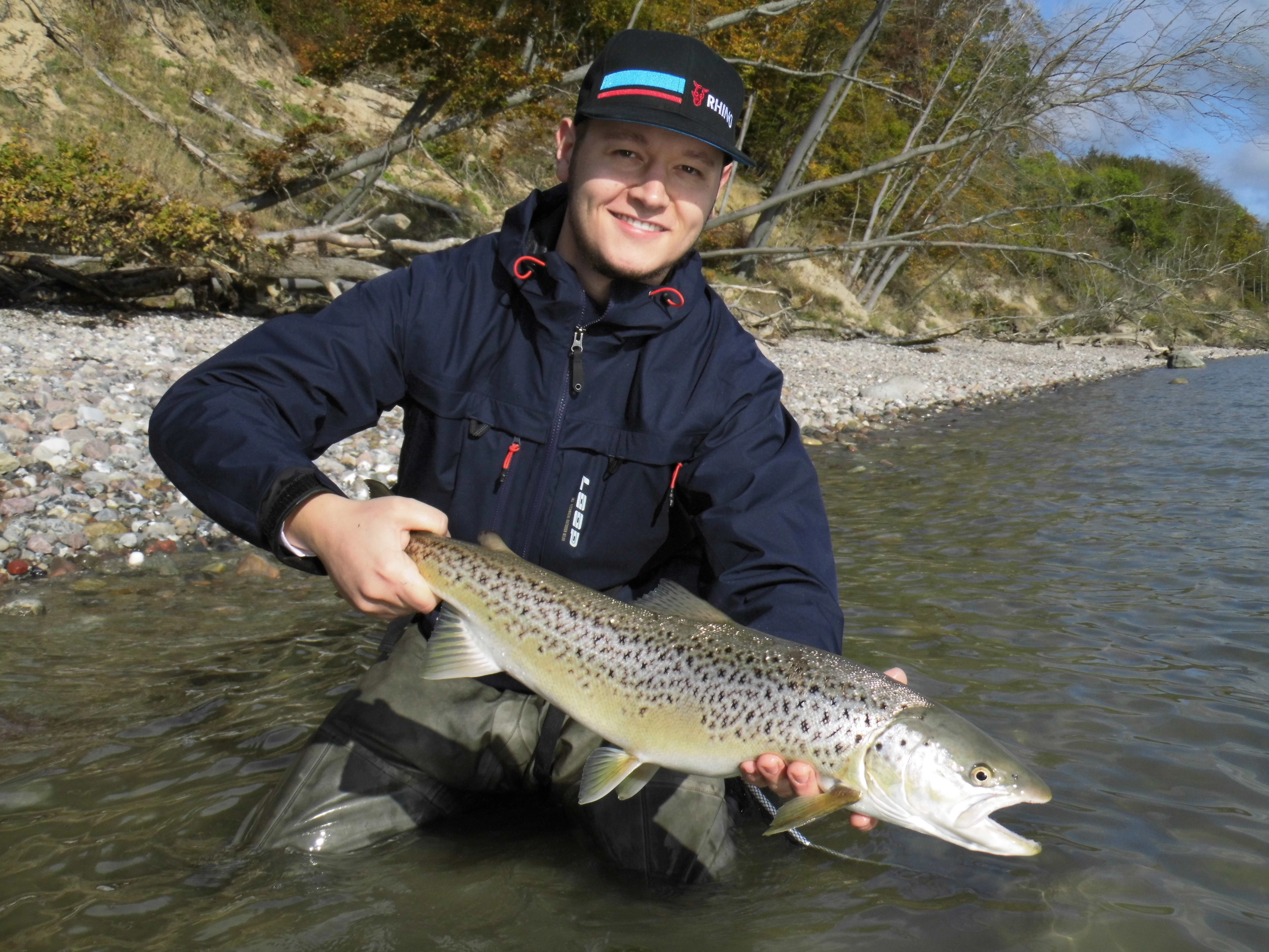 Seatrout in Germany