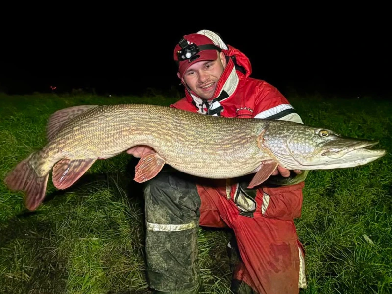 Northern Pike
