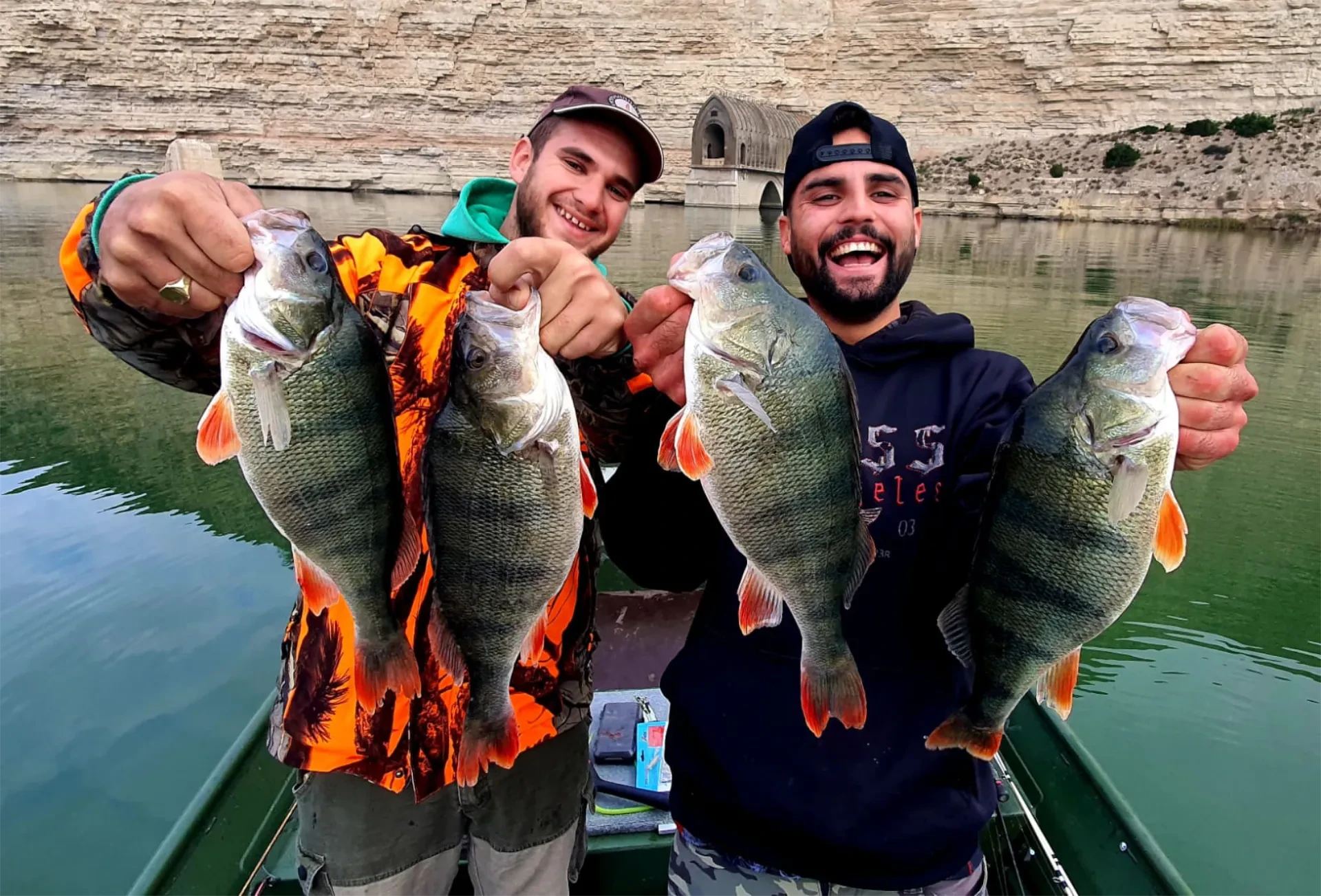 European Perch