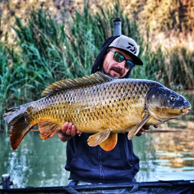 Carp