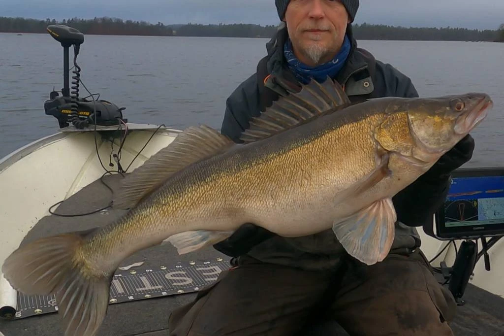 Predator fishing 1 day (approx. 8 hours) Möckeln, Bolmen, Åsnen or others.
